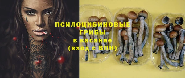 spice Каменногорск