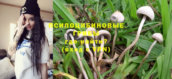 spice Каменногорск